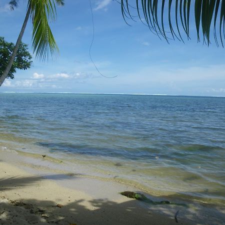 Justmoorea Location Haapiti Eksteriør billede